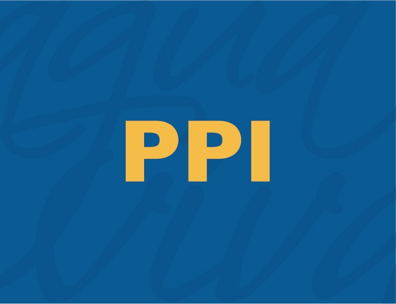  PPI