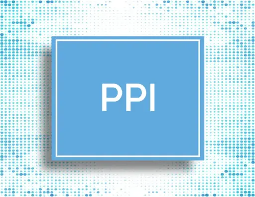  PPI